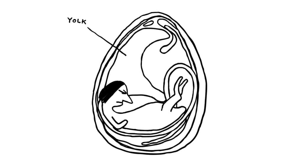 Wia yolk